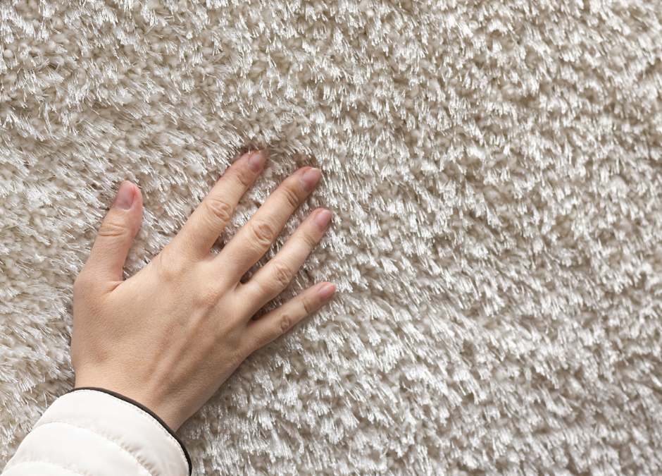Types of Carpet: Which One Works Best for My Home?